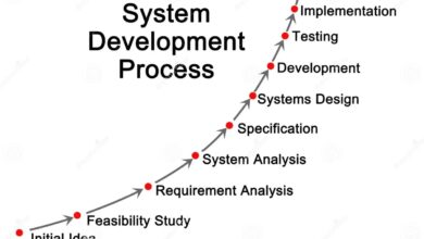 system development