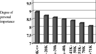 system justification